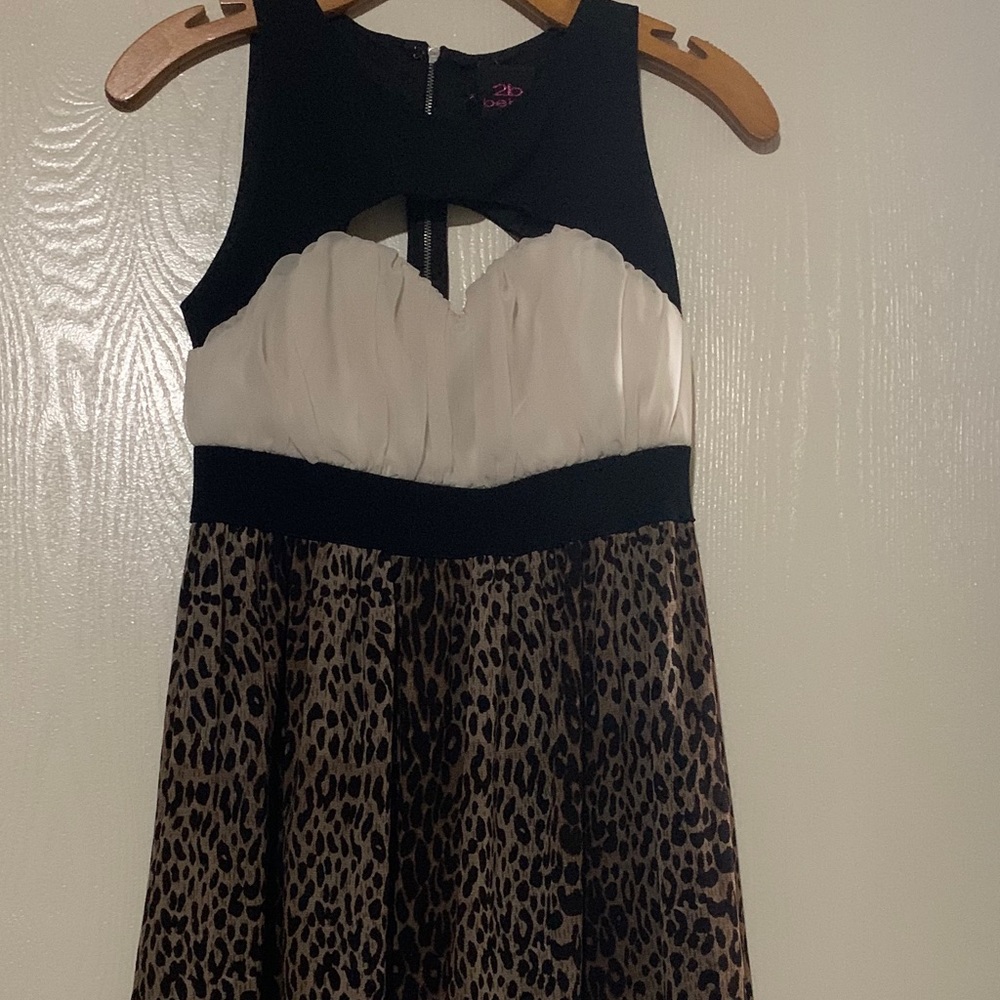 Cheetah 2b Bebe dress
